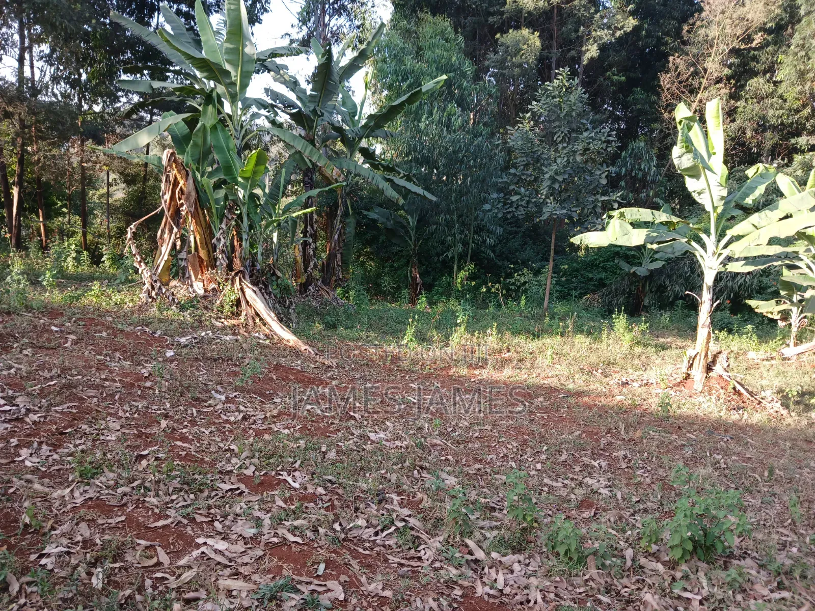 50 by 100ft  Plot Around the Kikuyu Road Near Shell Petrol Station in Market Dagoretti