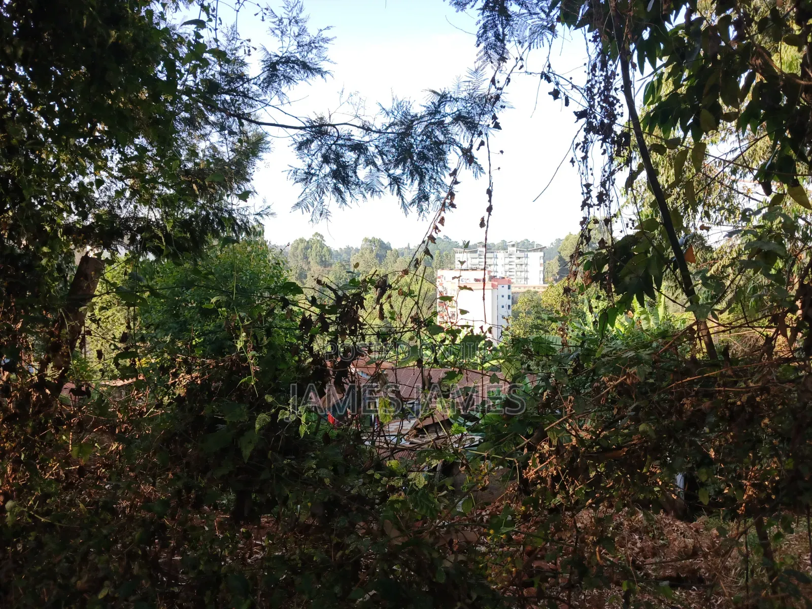 50 by 100ft  Plot Around the Kikuyu Road Near Shell Petrol Station in Market Dagoretti