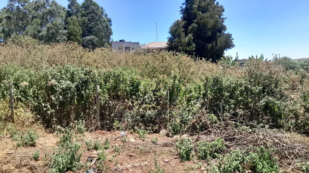 1 Acre Land in Kiboko for Sale in Nairobi Central