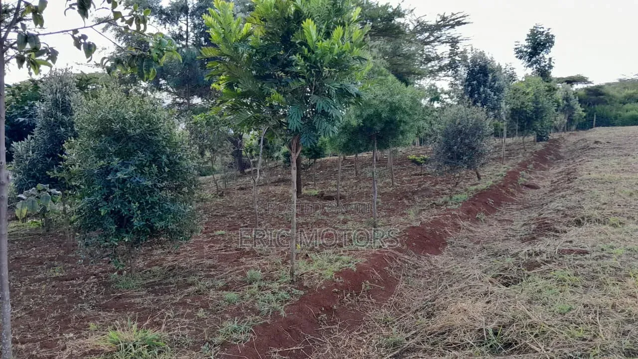 5 Acres Land in Matasia Ngong in Nairobi Central