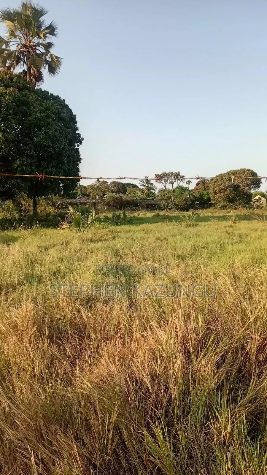 Beach Side 1/4 Acre Plot @ Kinondo, 400 Metres From the Tarmac Road. in Ukunda