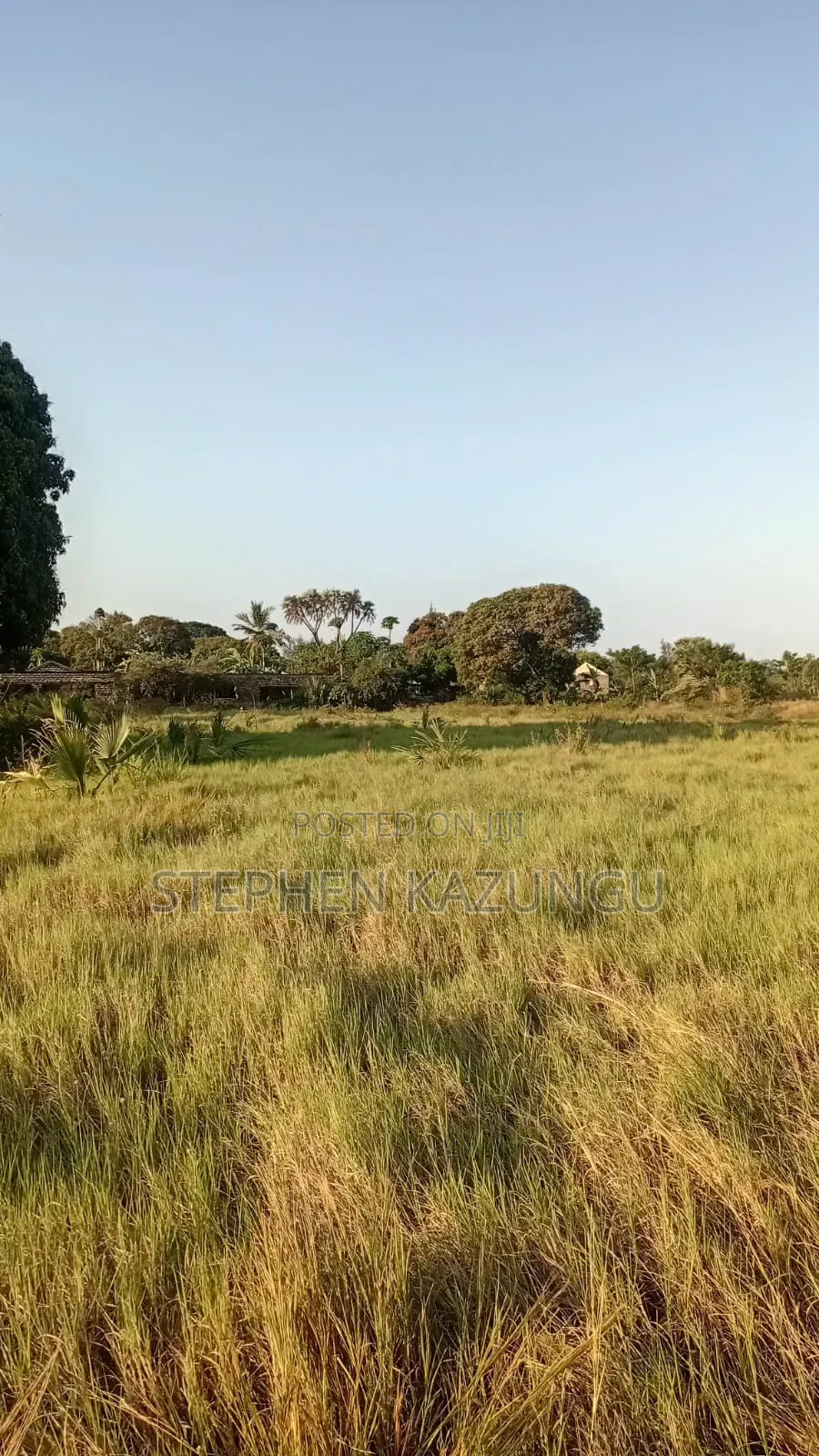 Beach Side 1/4 Acre Plot @ Kinondo, 400 Metres From the Tarmac Road. in Ukunda