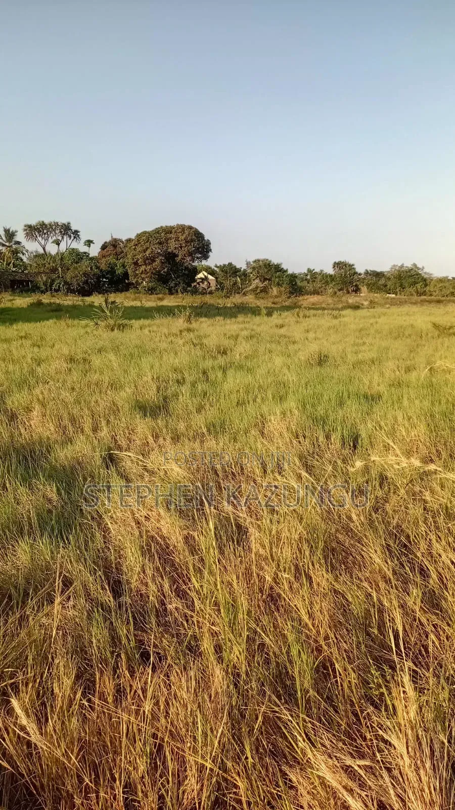 Beach Side 1/4 Acre Plot @ Kinondo, 400 Metres From the Tarmac Road. in Ukunda