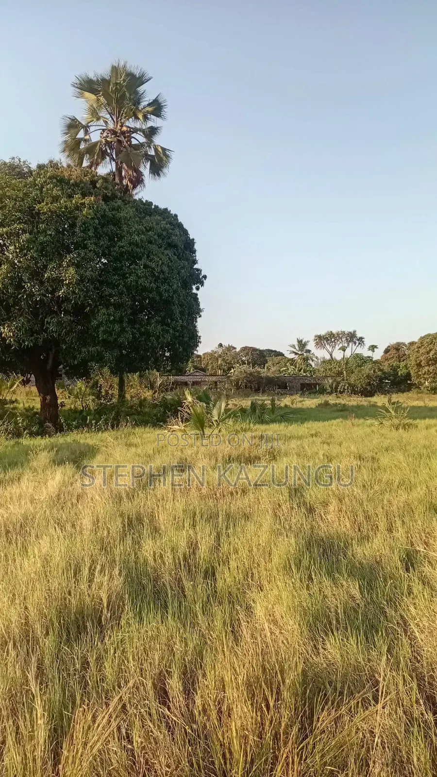 Beach Side 1/4 Acre Plot @ Kinondo, 400 Metres From the Tarmac Road. in Ukunda