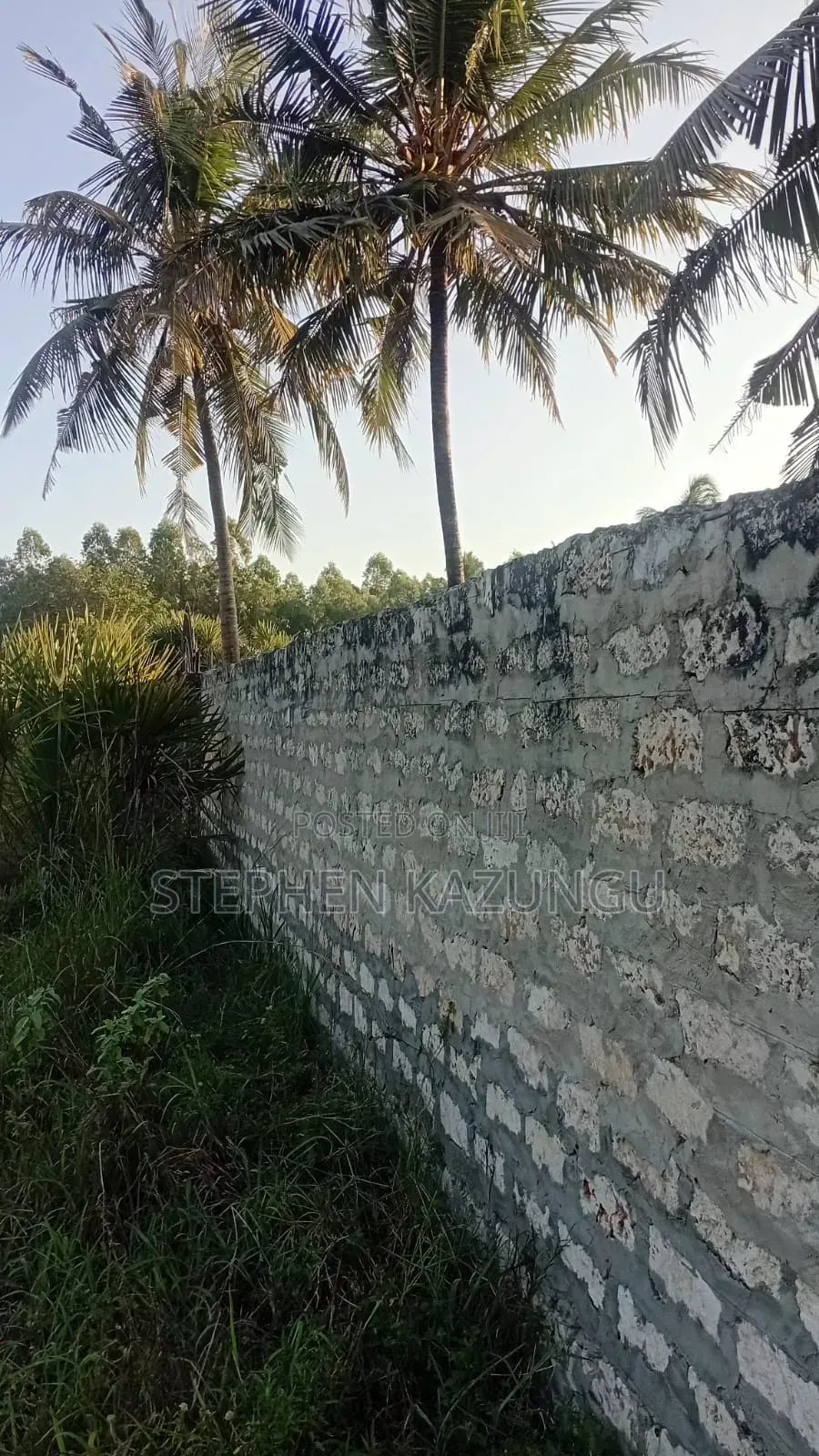 Great 1/4 Acre Plot @ Kinondo, 400 Metres From the Main Tarmac Road. in Ukunda