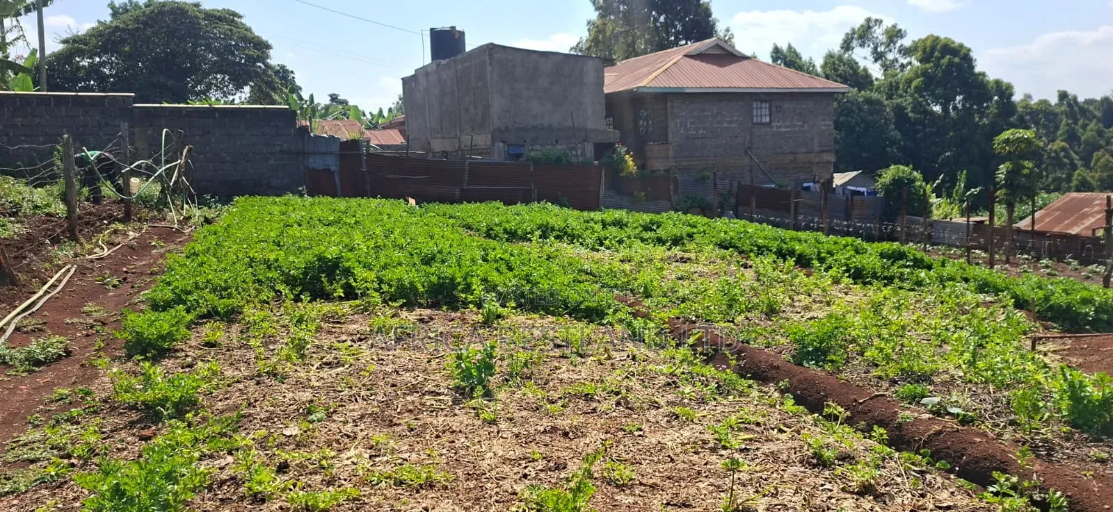 🏢 Prime 70×100 Plot for Sale – Kabete Mwimuto in Wangige