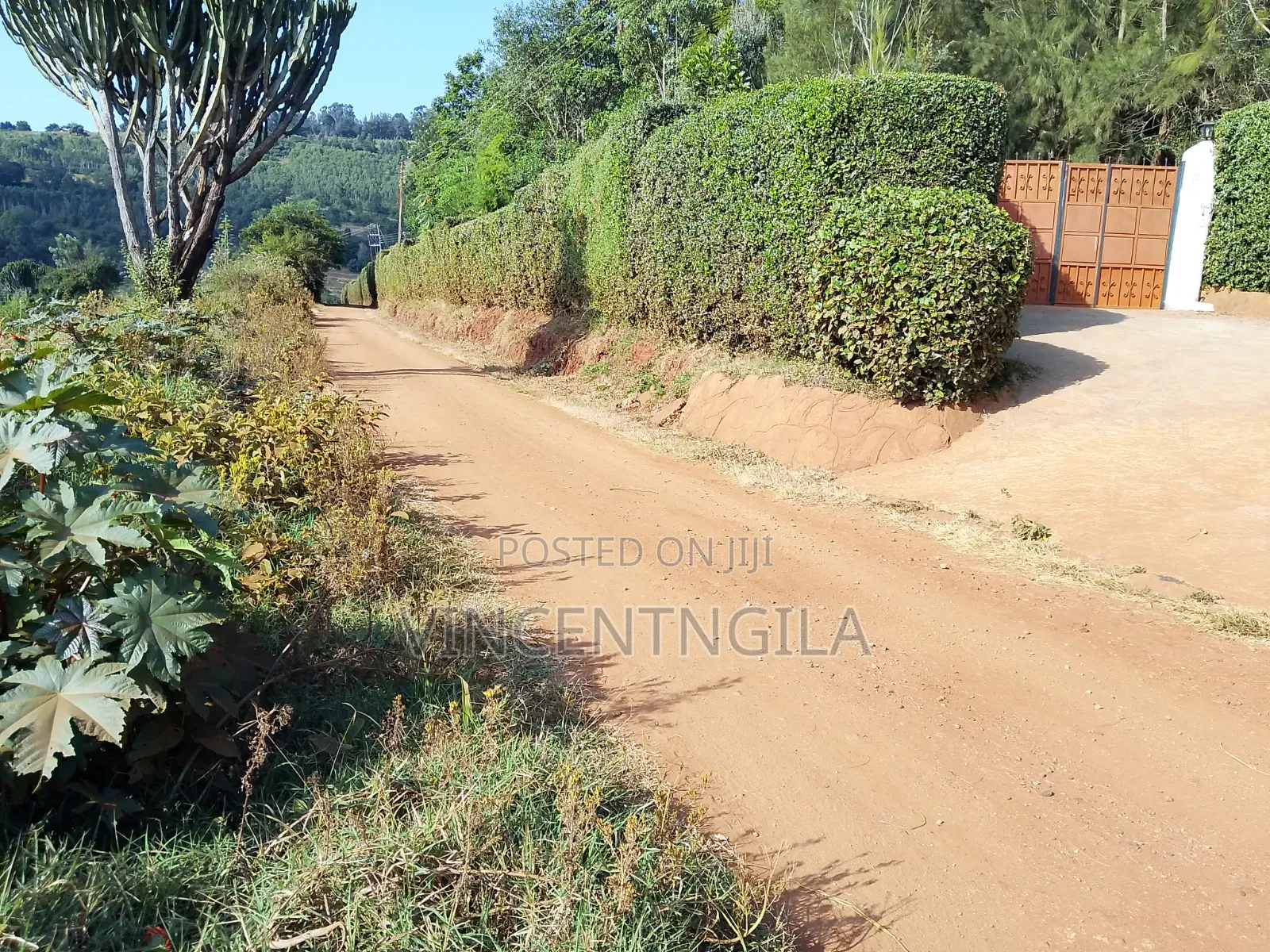 Mua Hills Land for Sale in Mua Hills