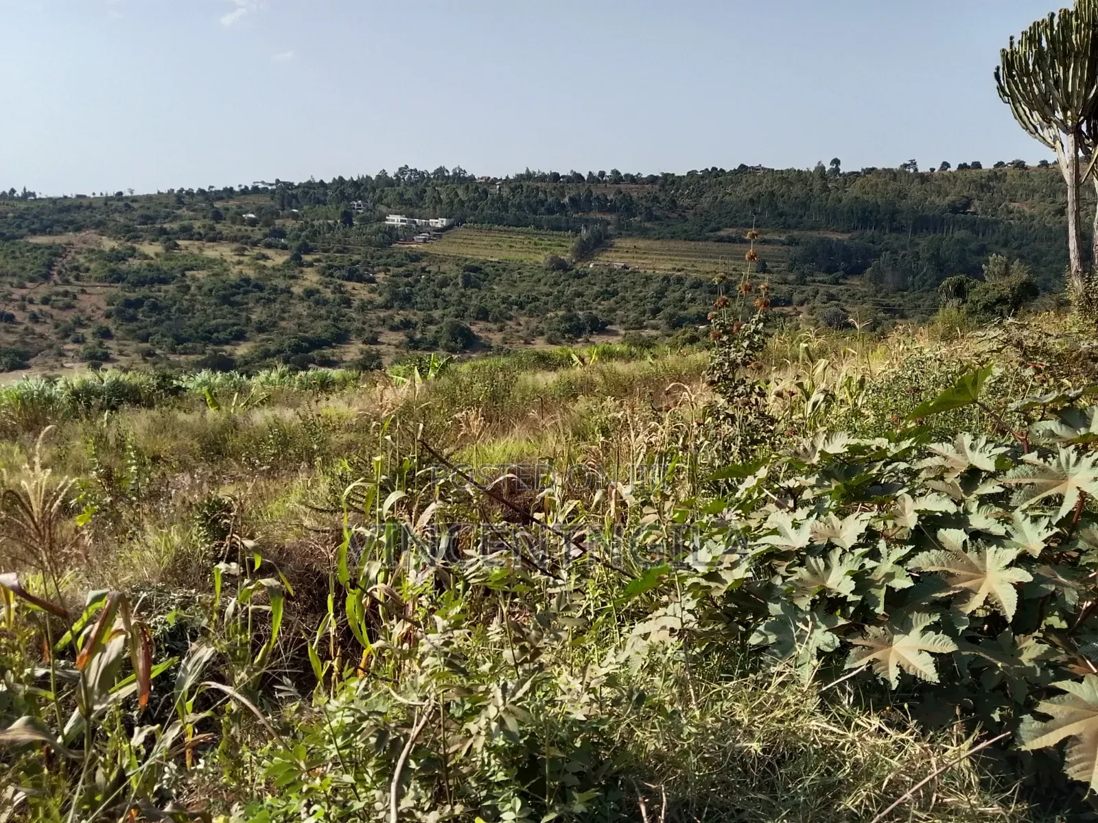 Mua Hills Land for Sale in Mua Hills