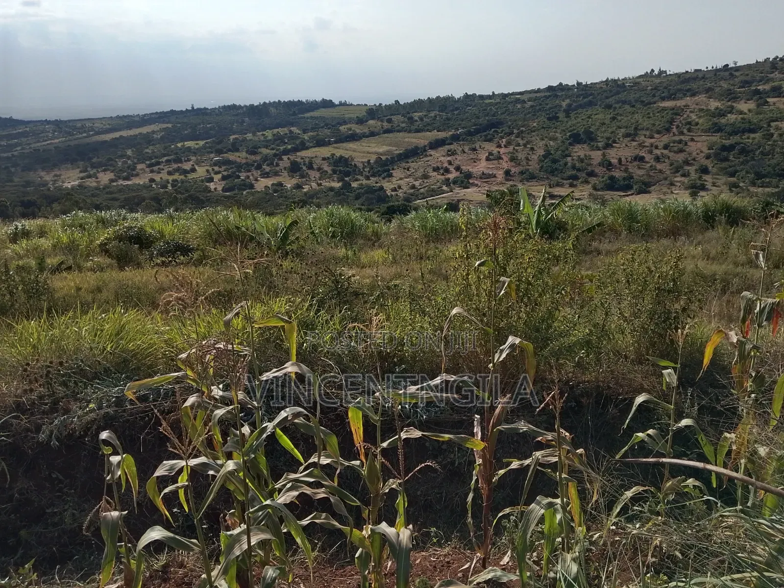Mua Hills Land for Sale in Mua Hills