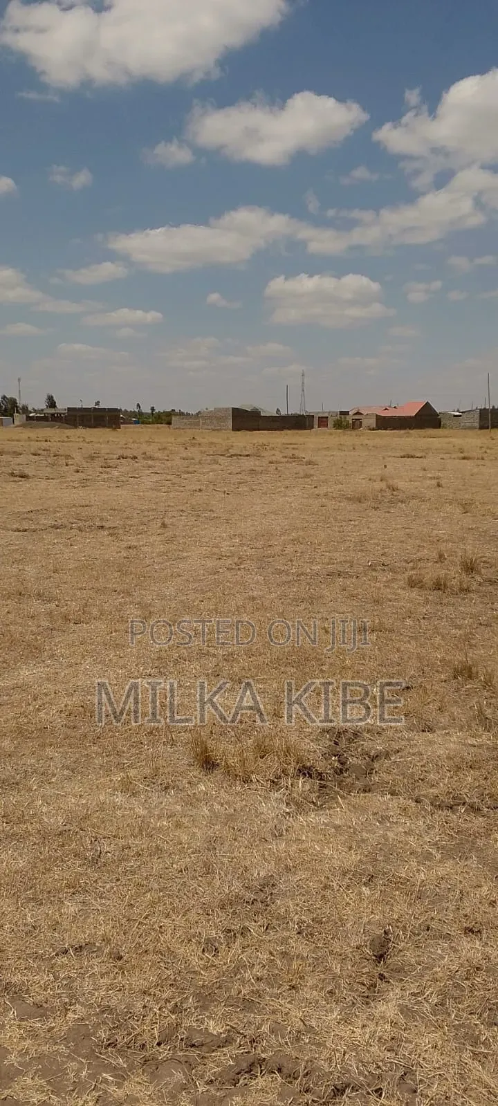 Muthaara 40 by 80 in Witethie