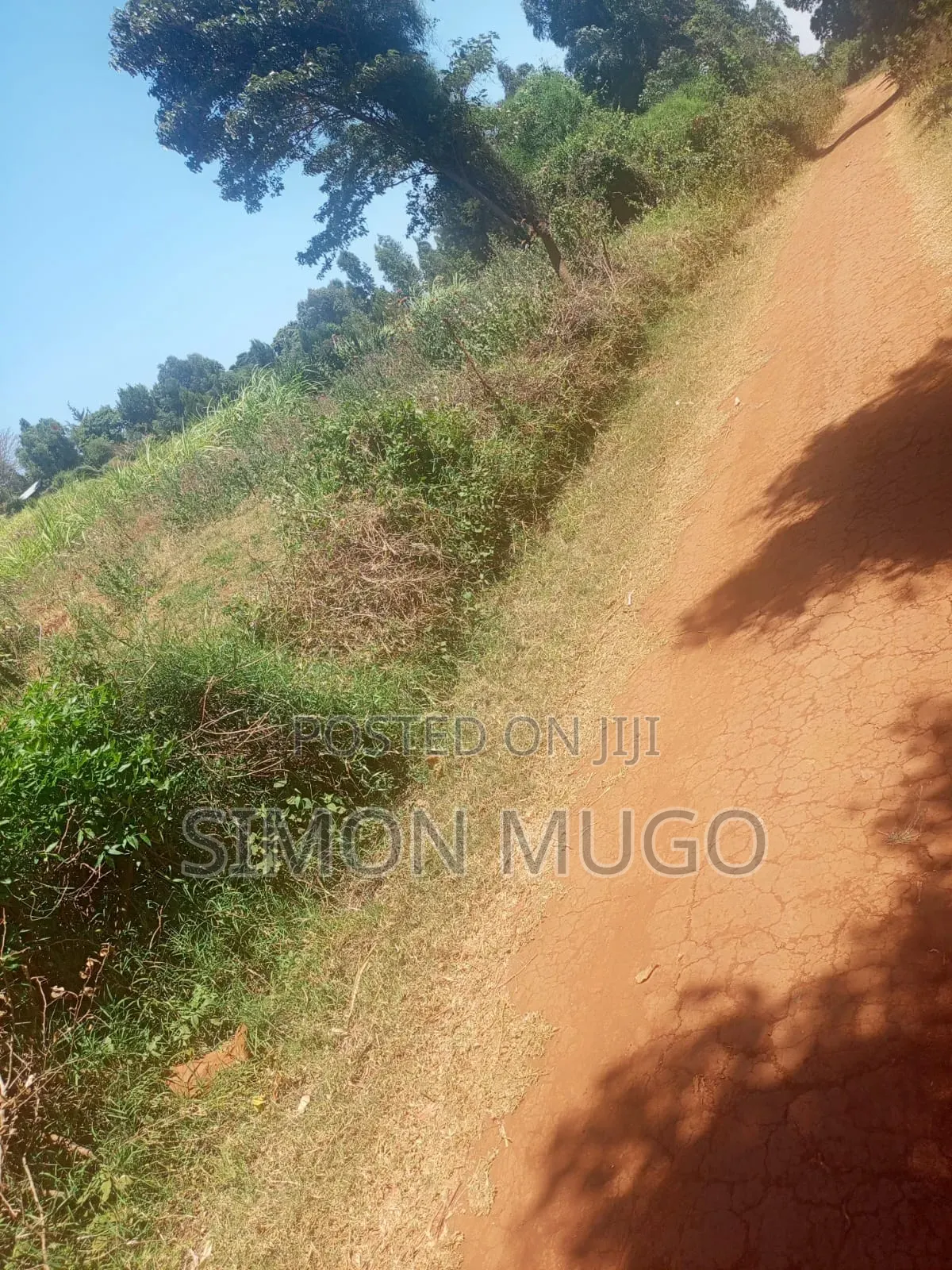 Limuru Nyambari Prime 3.25 Acres Quick Sale 16 Millions in Bibirioni