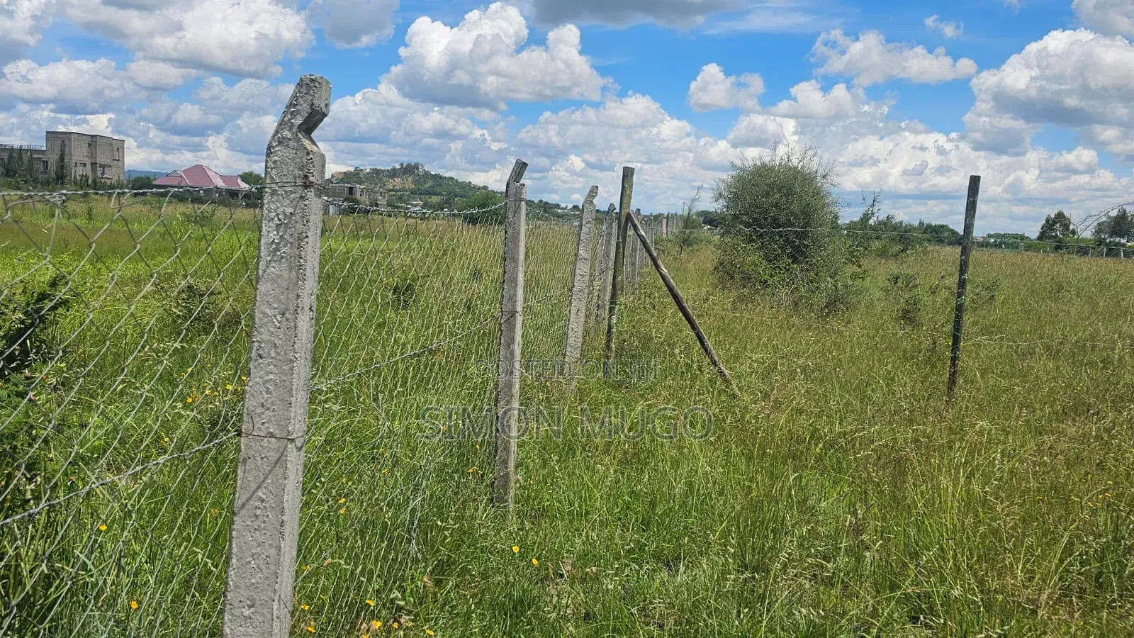 Limuru Nyambari Prime 3.25 Acres Quick Sale 16 Millions in Bibirioni