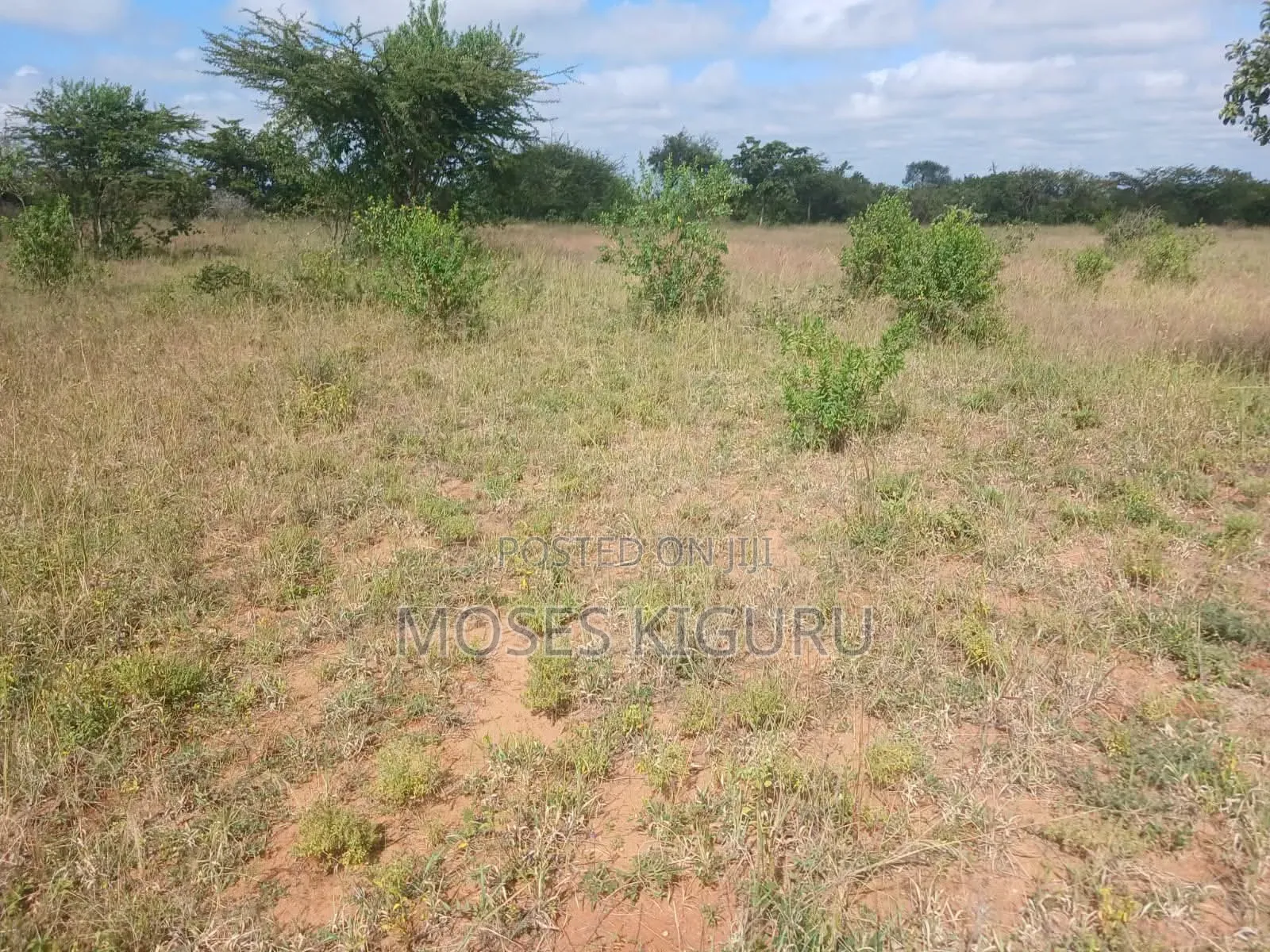 Kanyonyo 50X100 Plots in Matuu