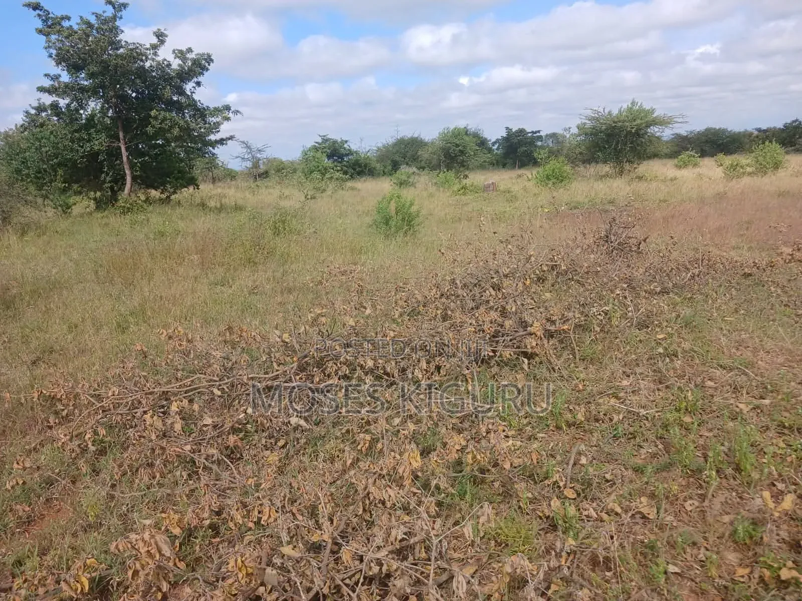 Kanyonyo 50X100 Plots in Matuu