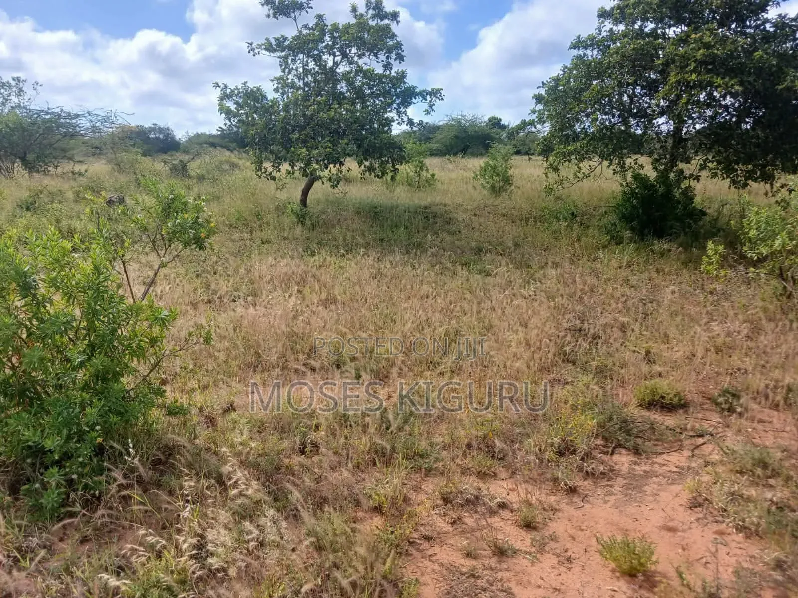 Kanyonyo 50X100 Plots in Matuu