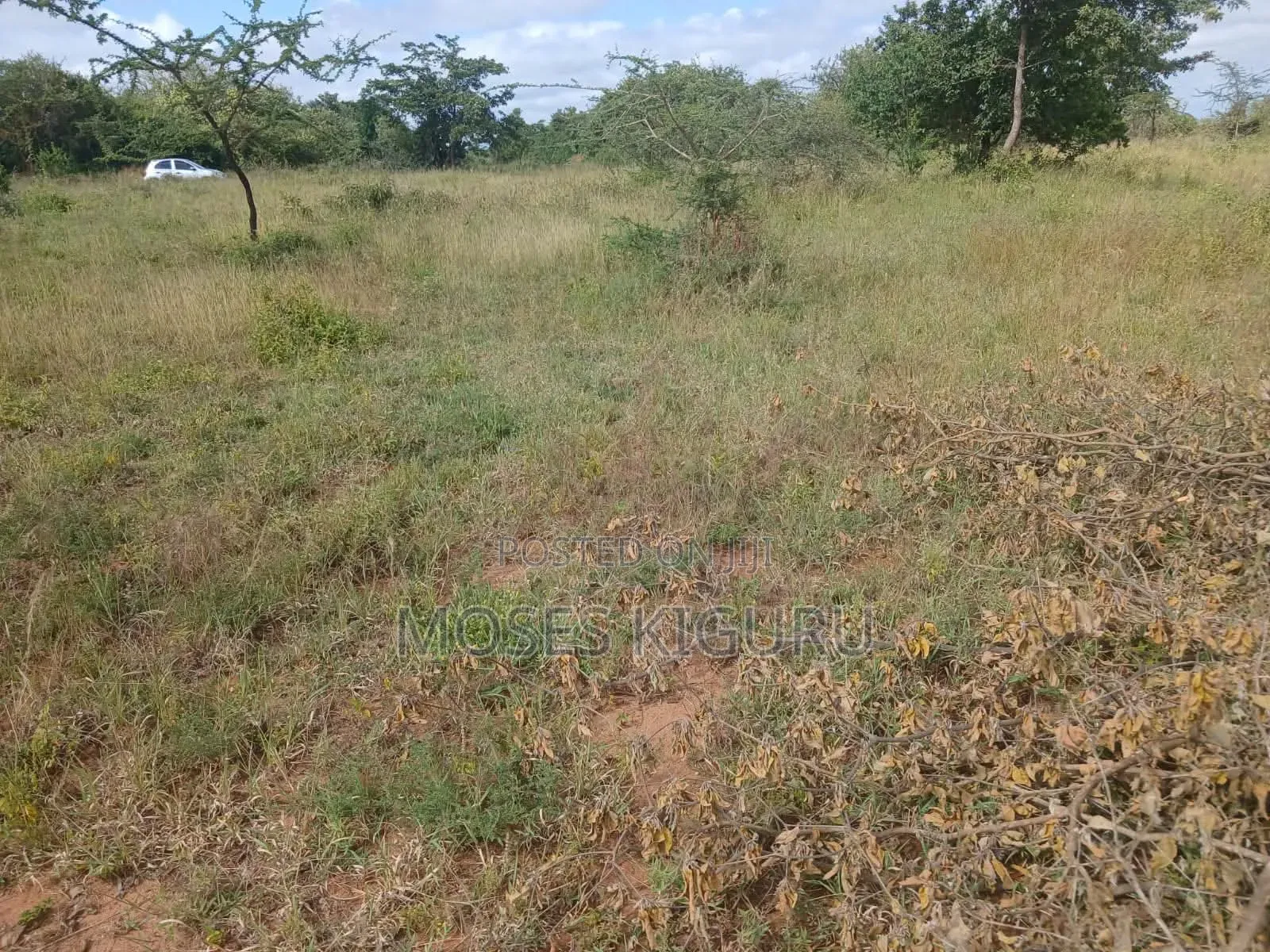 Kanyonyo 50X100 Plots in Matuu