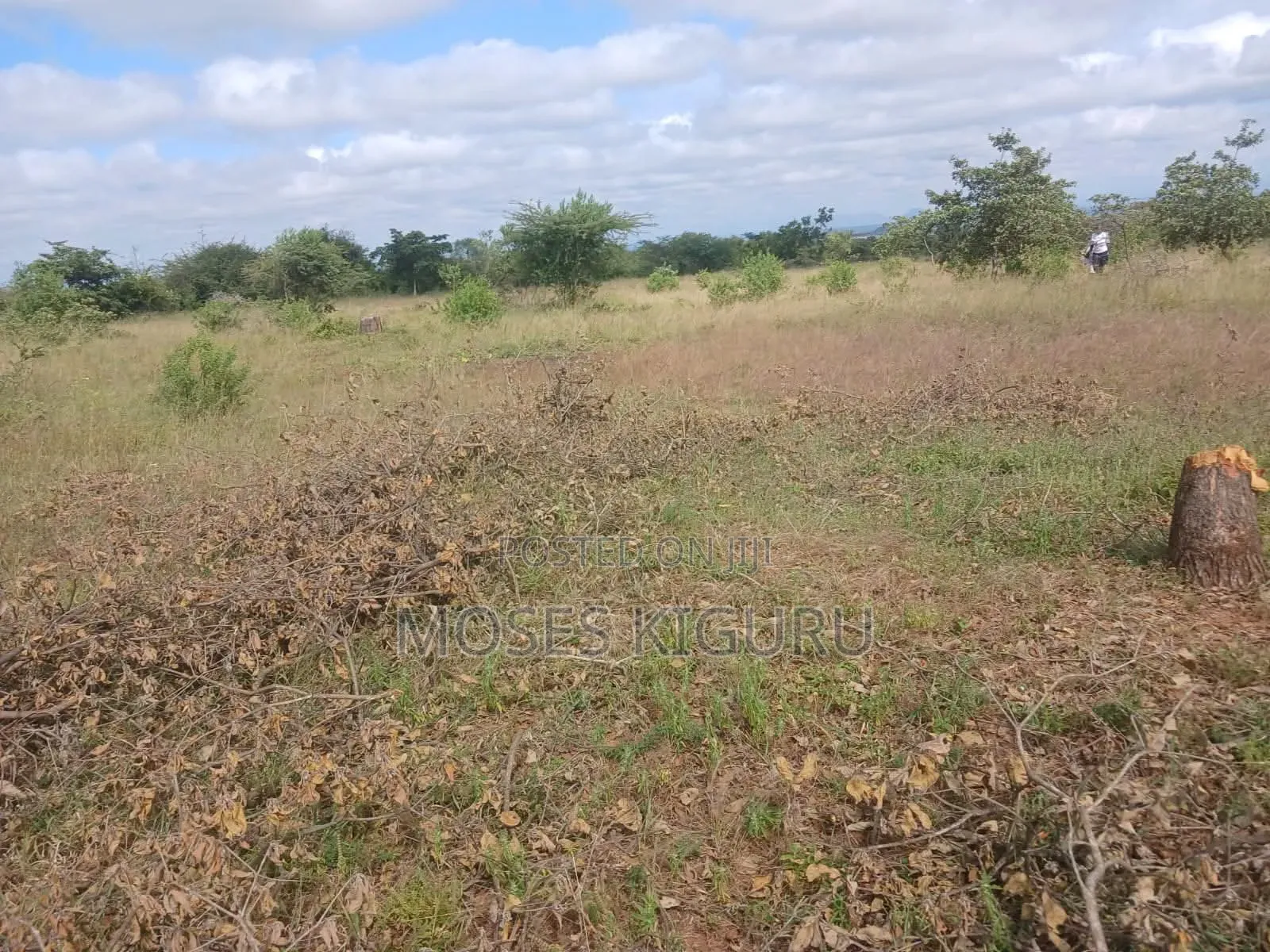 Kanyonyo 50X100 Plots in Matuu