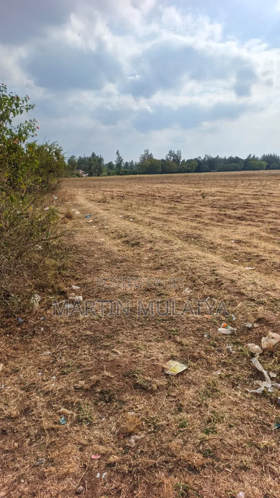 40 Acres for Sell at Mamba Nys Area in NYS Area