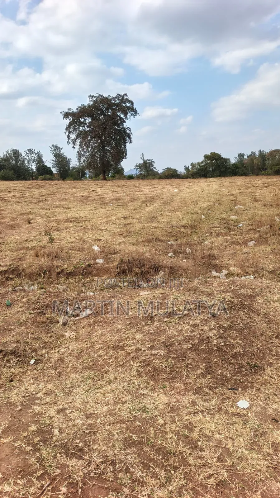 40 Acres for Sell at Mamba Nys Area in NYS Area