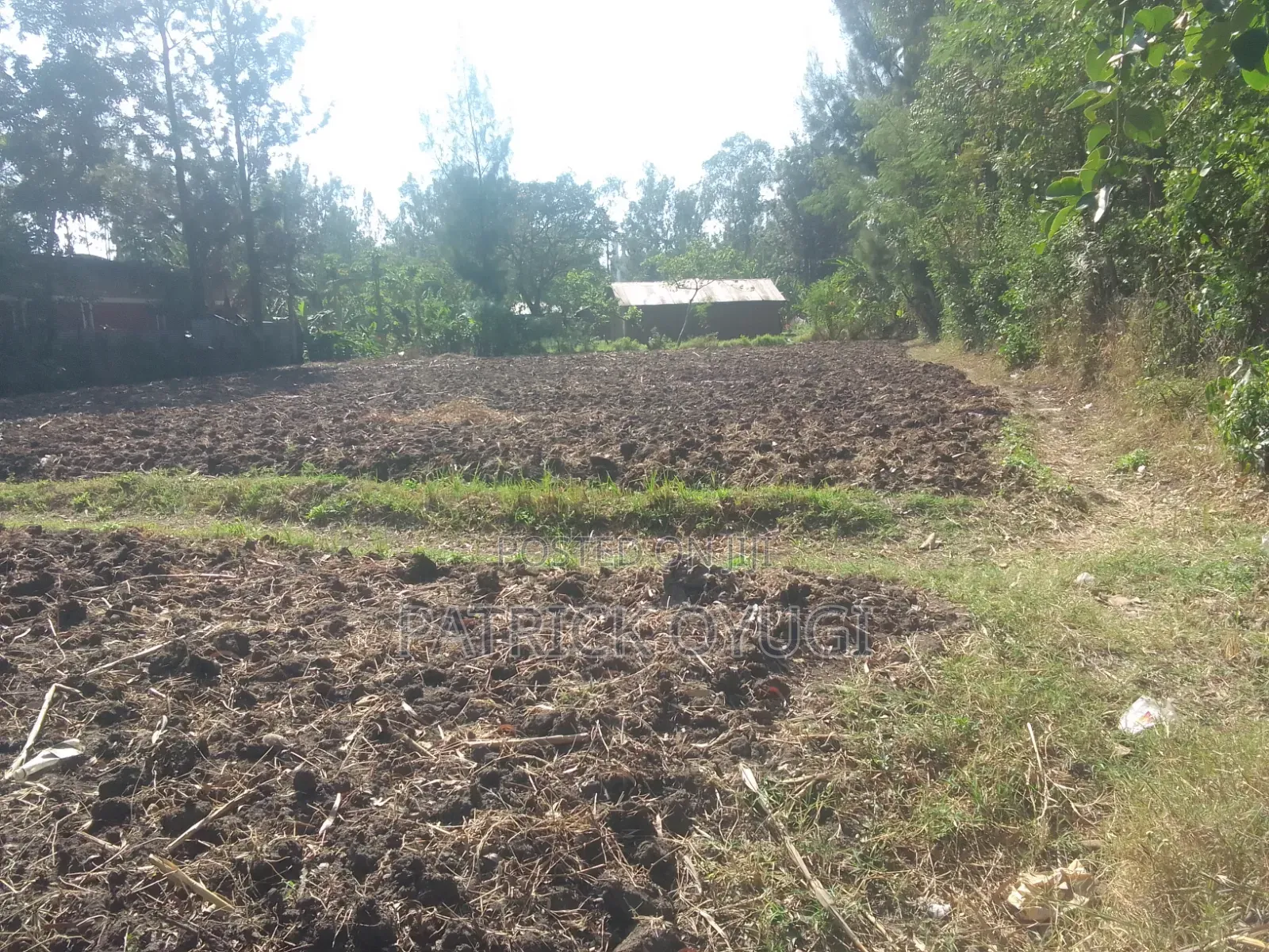 0.13ha in Kisumu Kibos Are for Sale in Kajulu
