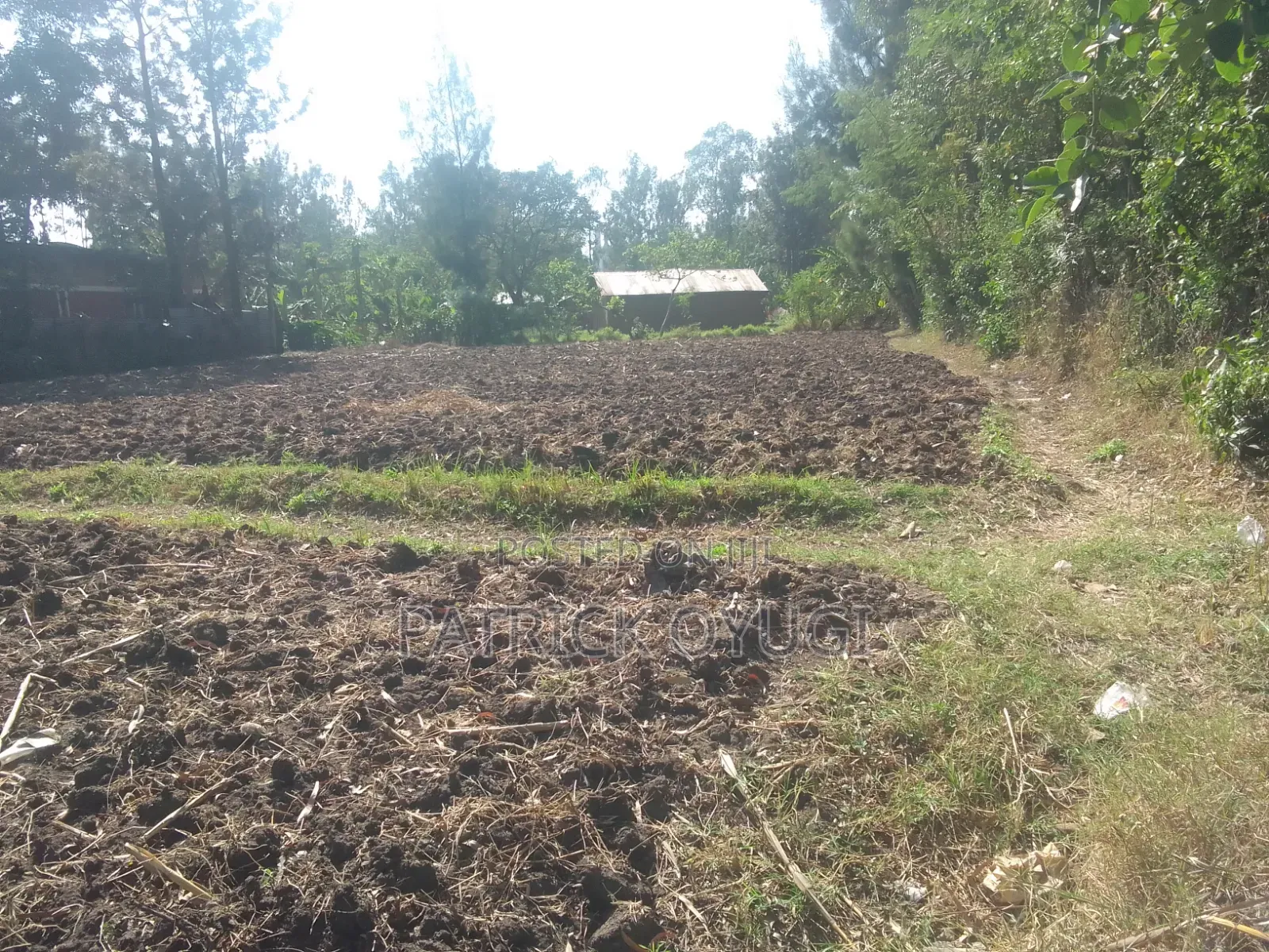 0.13ha in Kisumu Kibos Are for Sale in Kajulu