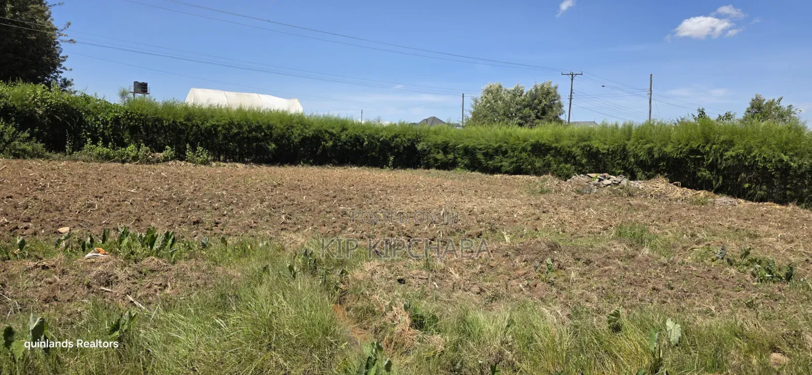 Prime 1⁄4 Plot for Sale in Chepkanga Mutei Gnaru in Eldoret in Kimumu