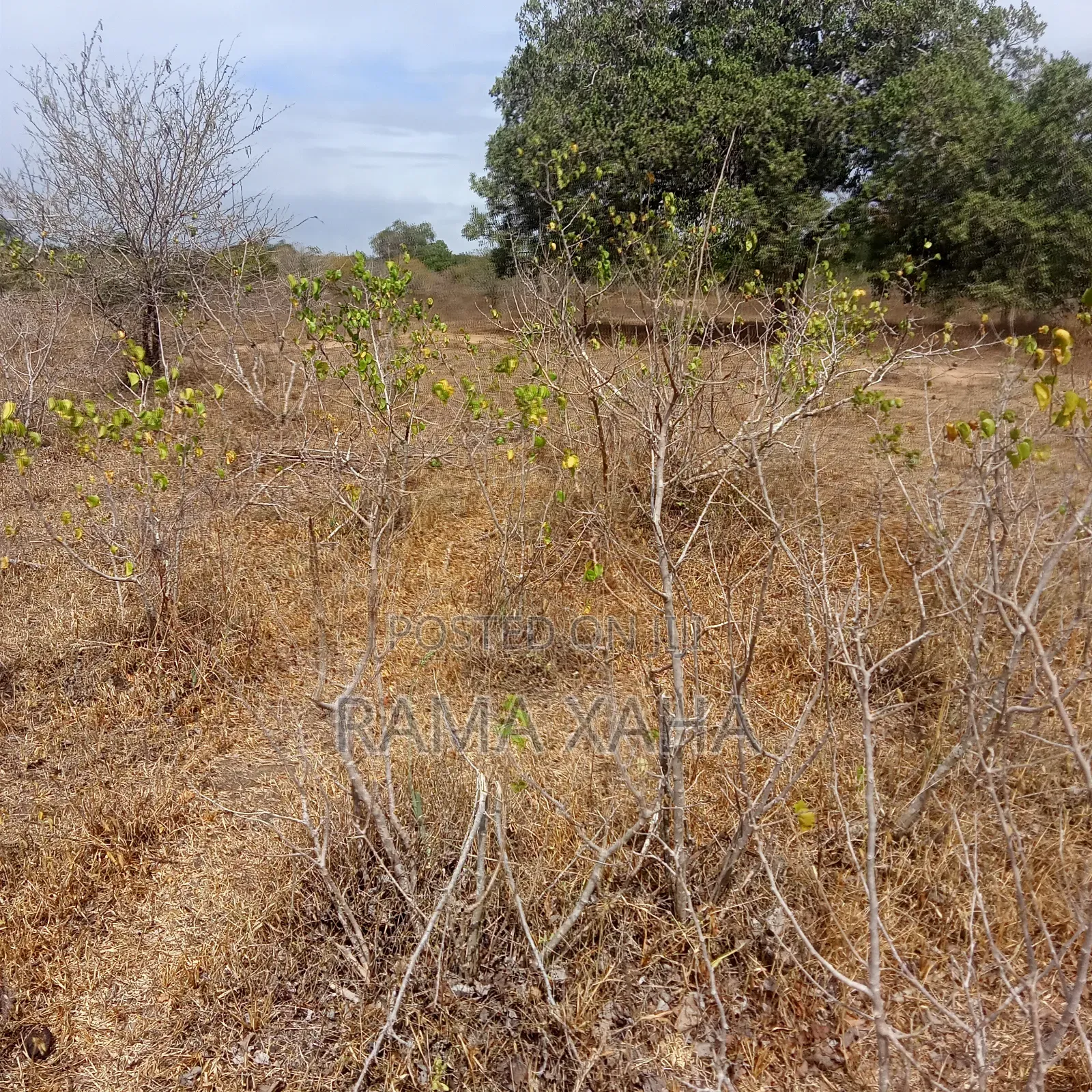 35 Acres for Sale at Dakacha Malindi in Marafa