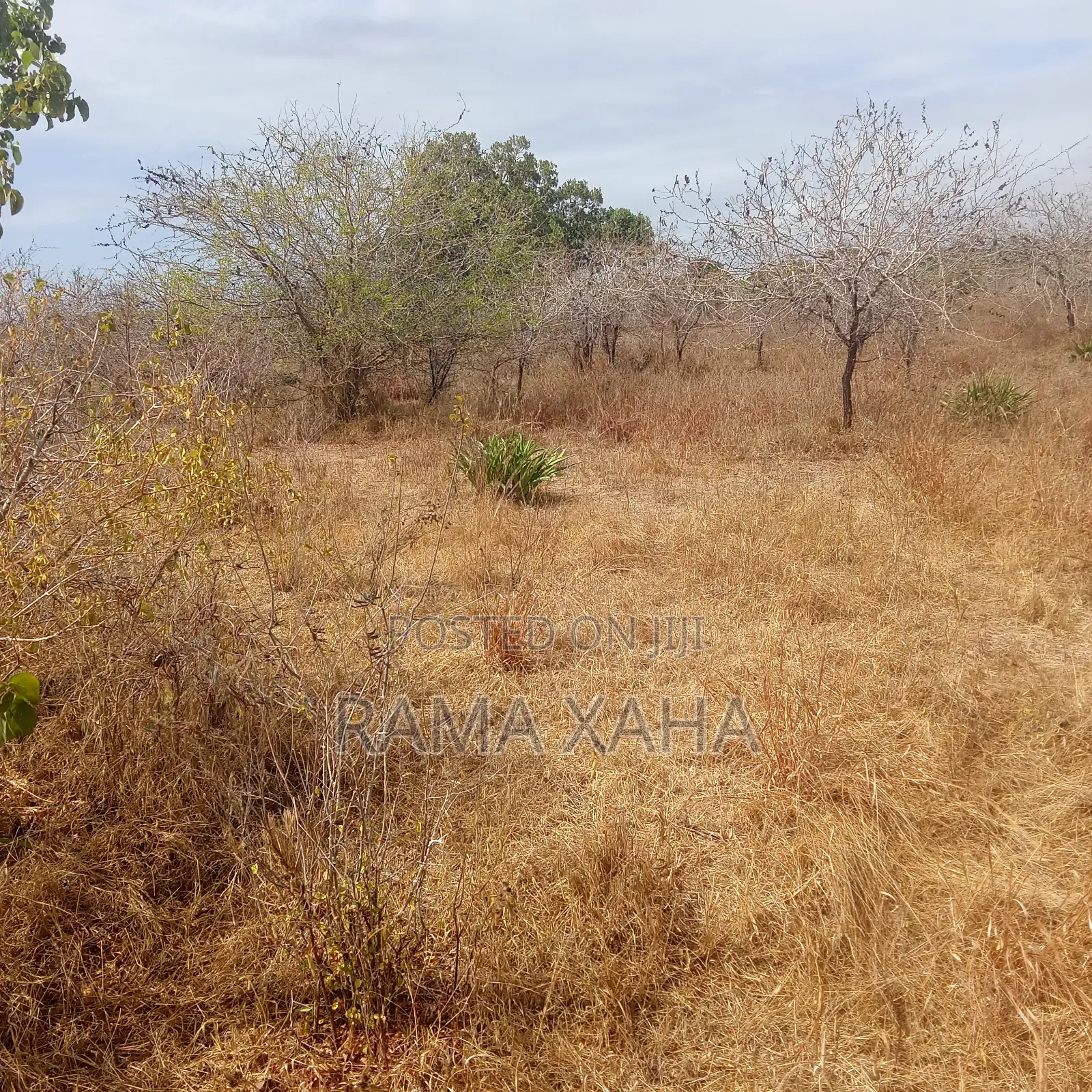 35 Acres for Sale at Dakacha Malindi in Marafa