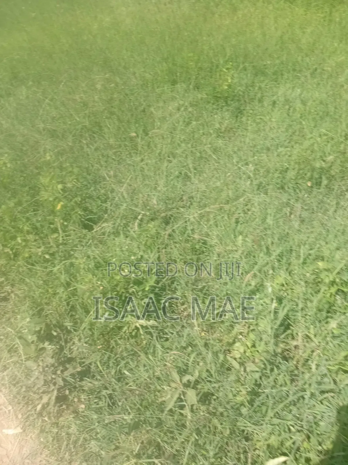 35 Acres for Sale With Ready Tittle Deed 60k Per Acre in Jilore