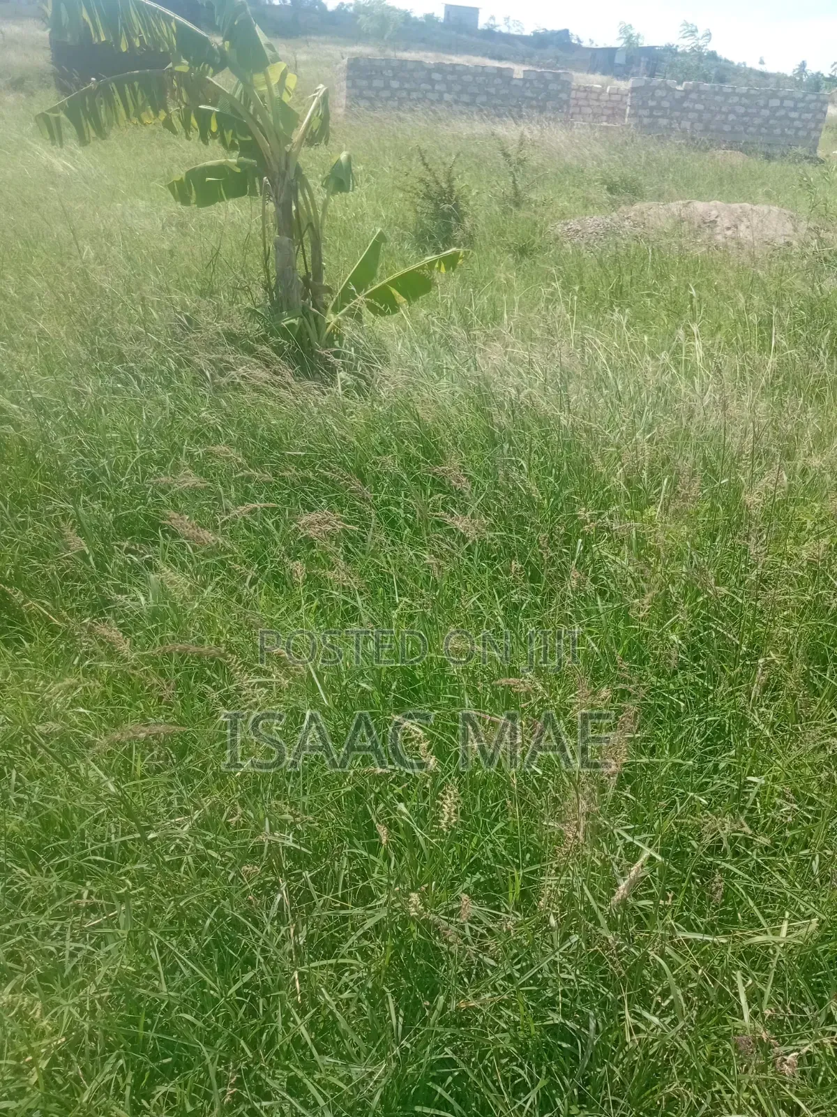 35 Acres for Sale With Ready Tittle Deed 60k Per Acre in Jilore