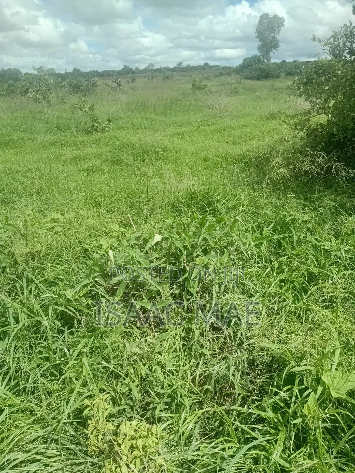 35 Acres for Sale With Ready Tittle Deed 60k Per Acre in Jilore