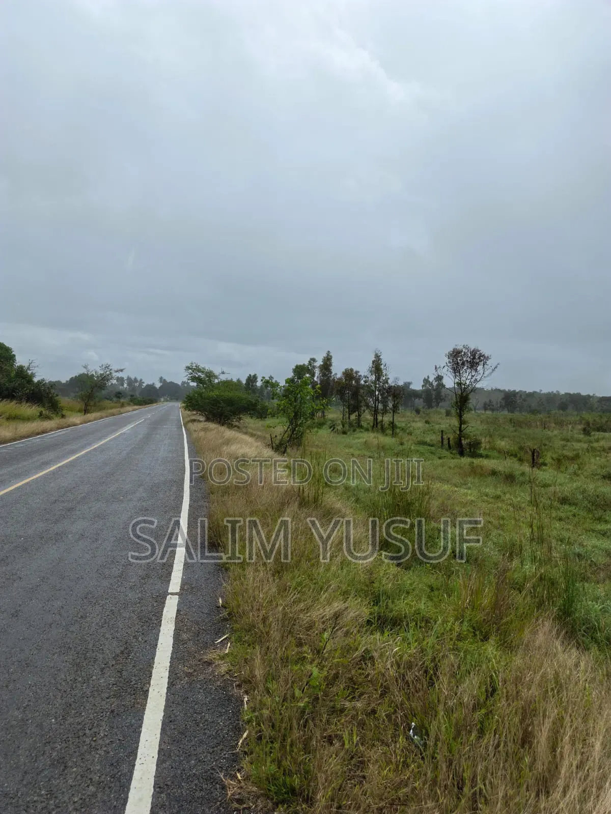 Land for Sale Majoreni 200 Acres 450 Per Acre in Pongwe/Kikoneni