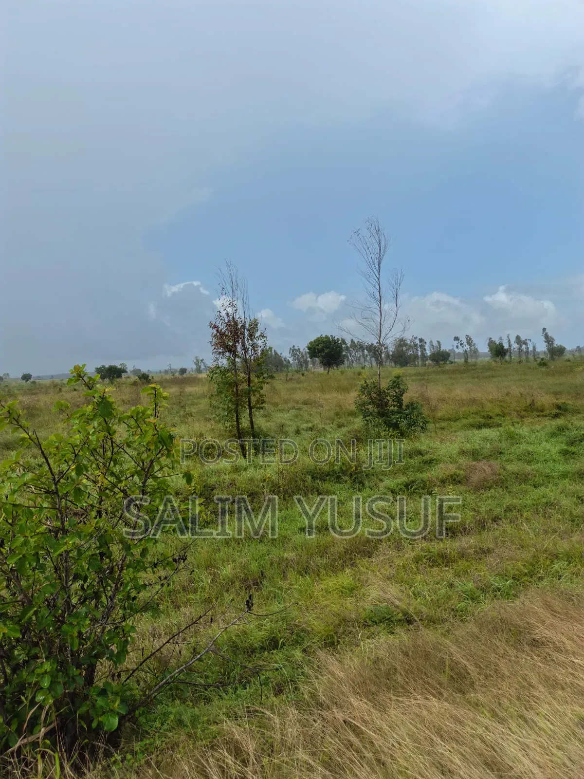 Land for Sale Majoreni 200 Acres 450 Per Acre in Pongwe/Kikoneni