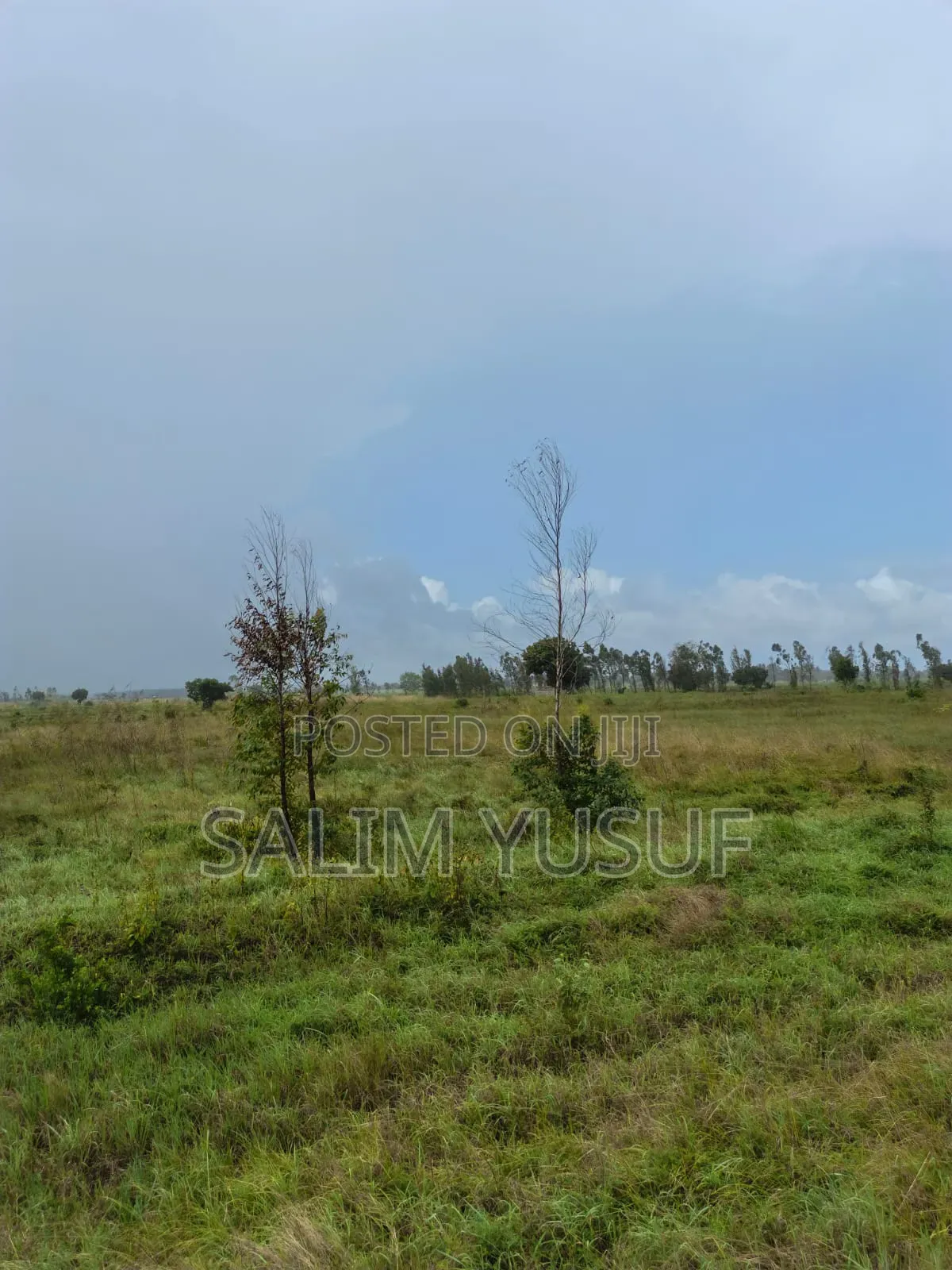 Land for Sale Majoreni 200 Acres 450 Per Acre in Pongwe/Kikoneni