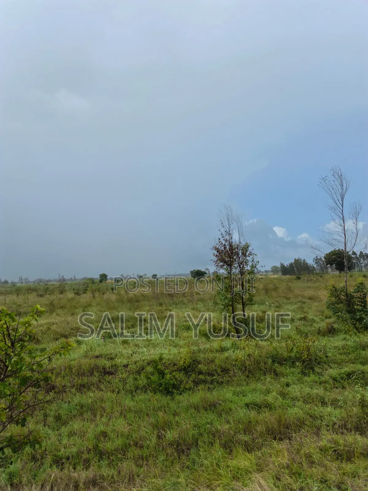 Land for Sale Majoreni 200 Acres 450 Per Acre in Pongwe/Kikoneni