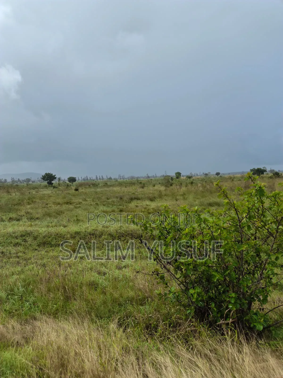 Land for Sale Majoreni 200 Acres 450 Per Acre in Pongwe/Kikoneni