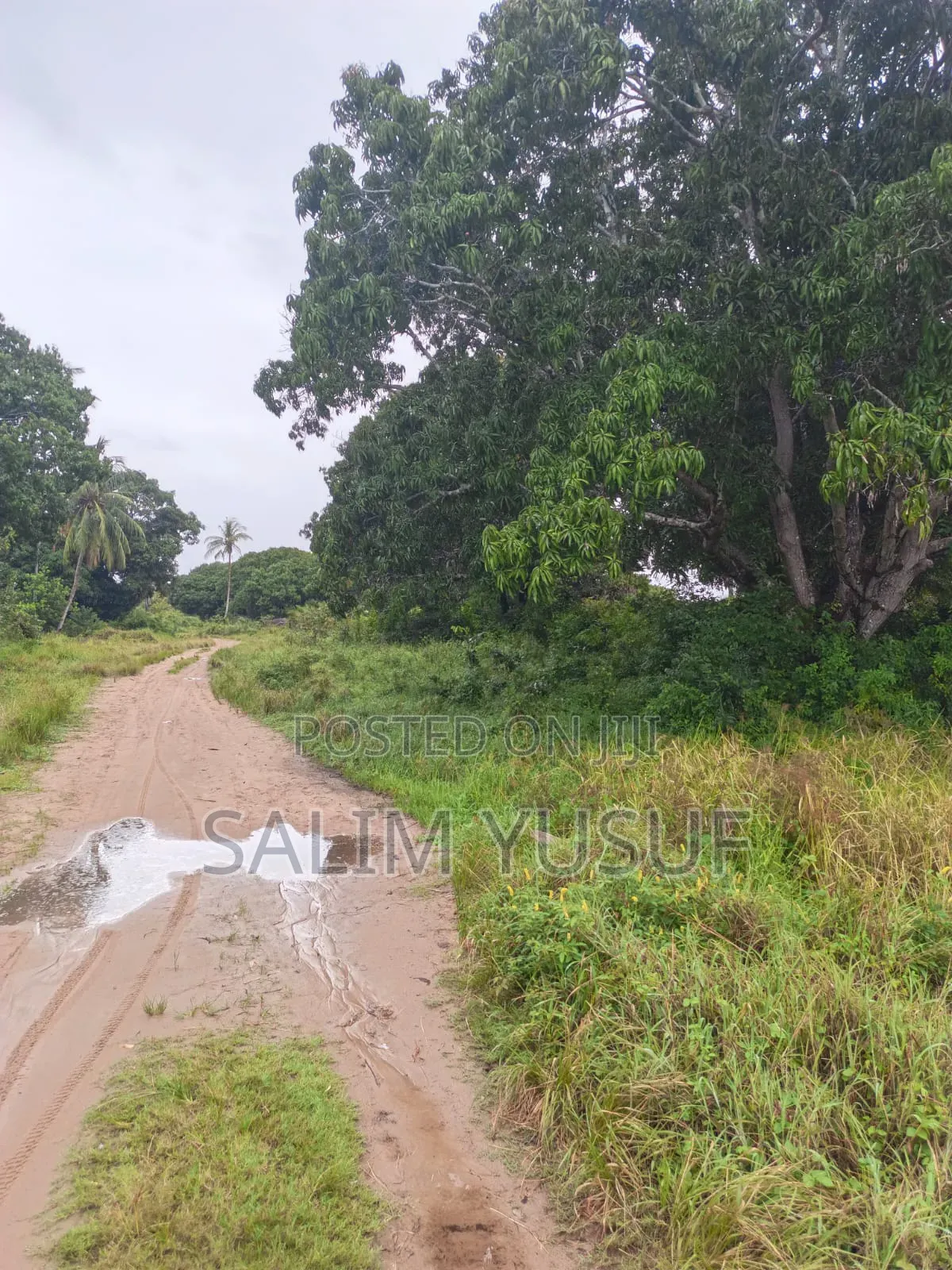 Land on Sale Kwale Count Mshiu 5 Acres 470,000Per Acre in Pongwe/Kikoneni