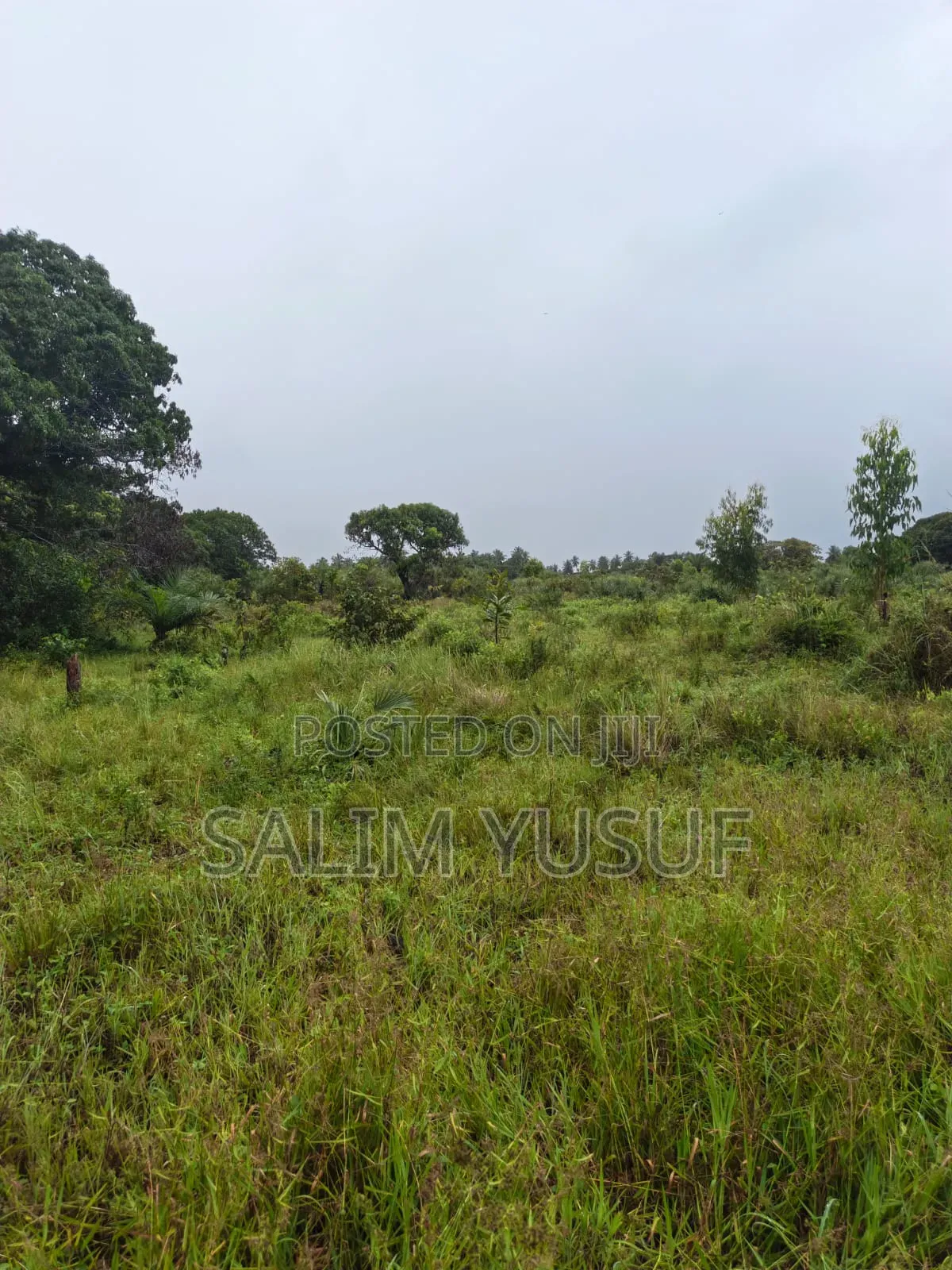 Land on Sale Kwale Count Mshiu 5 Acres 470,000Per Acre in Pongwe/Kikoneni