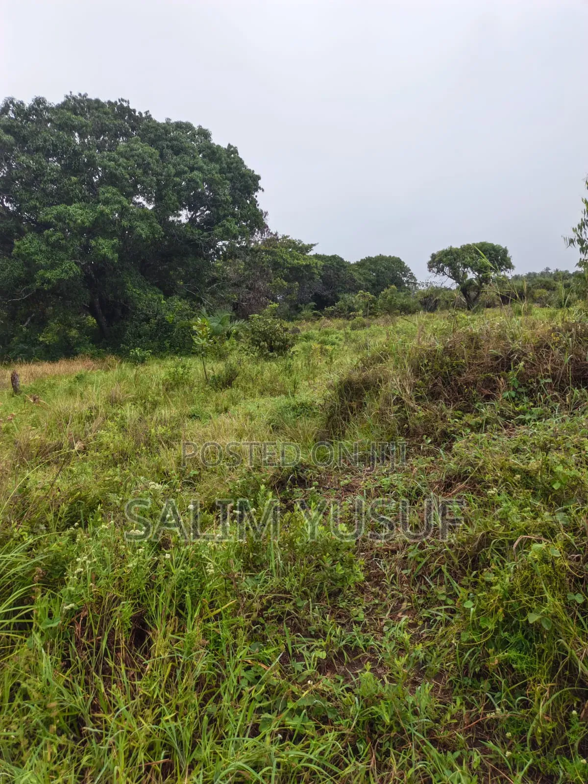 Land on Sale Kwale Count Mshiu 5 Acres 470,000Per Acre in Pongwe/Kikoneni