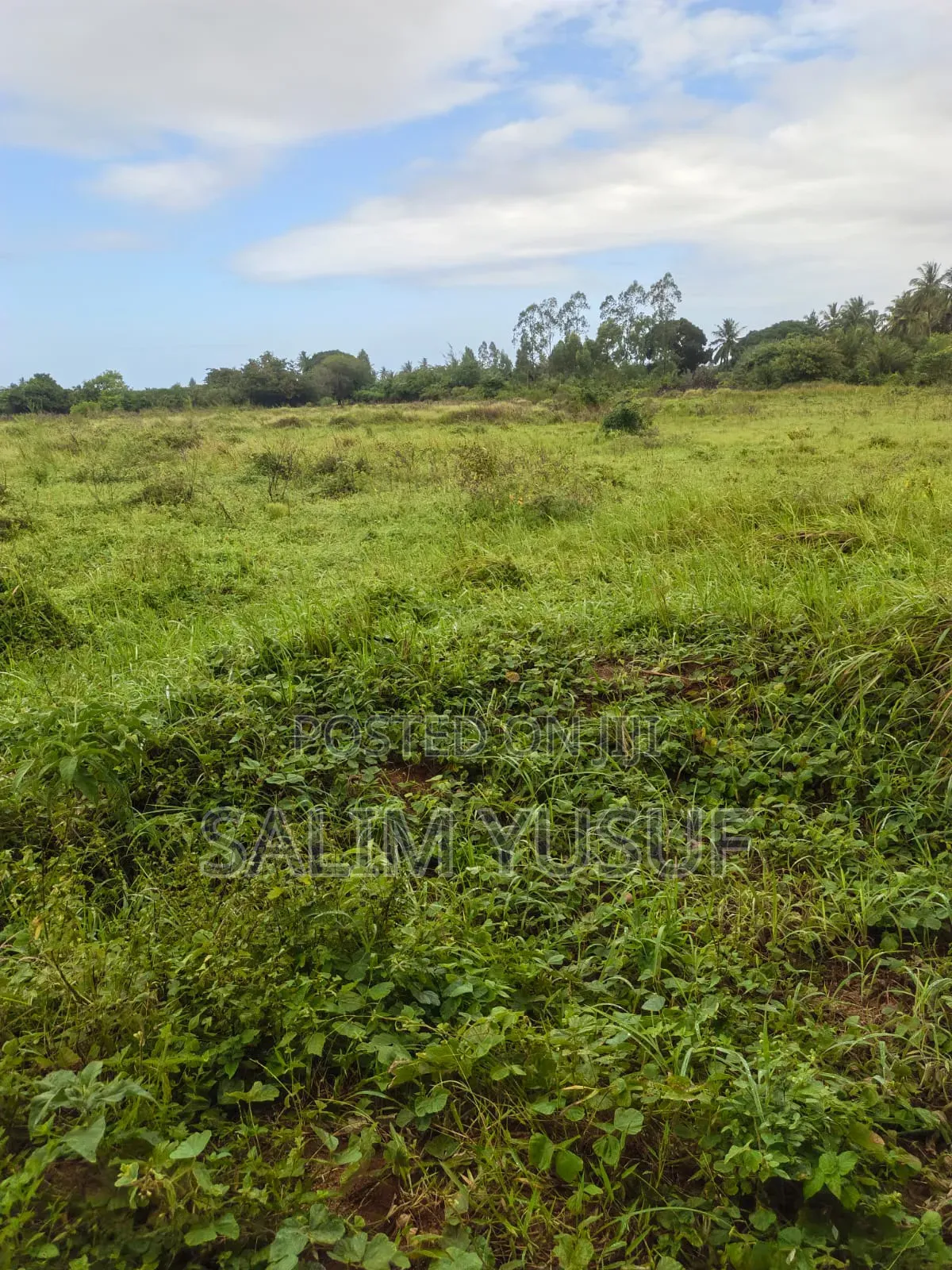 Land on Sale Kwale Count Mshiu 8acres 1,250,000 Per Acre in Pongwe/Kikoneni