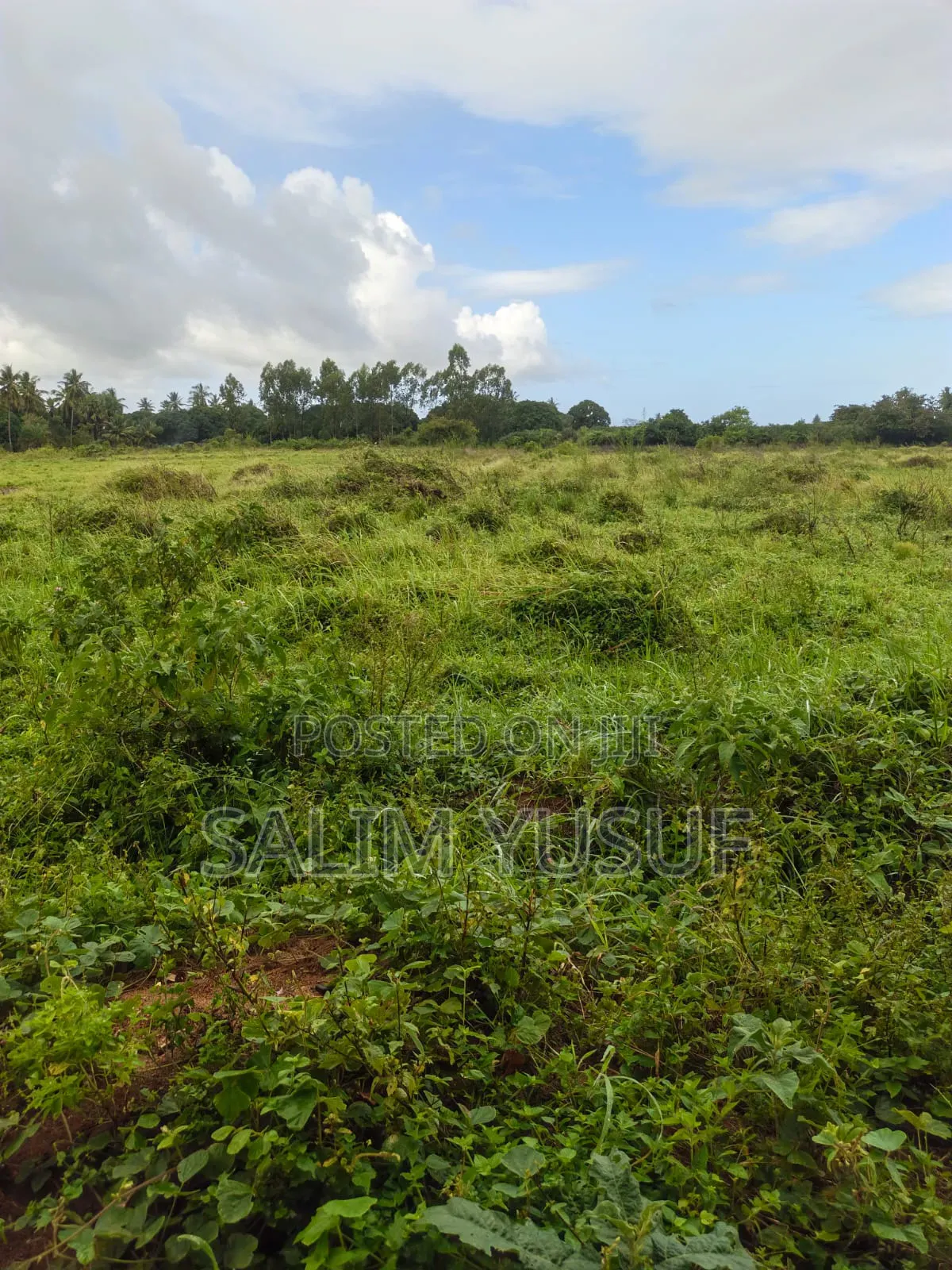 Land on Sale Kwale Count Mshiu 8acres 1,250,000 Per Acre in Pongwe/Kikoneni