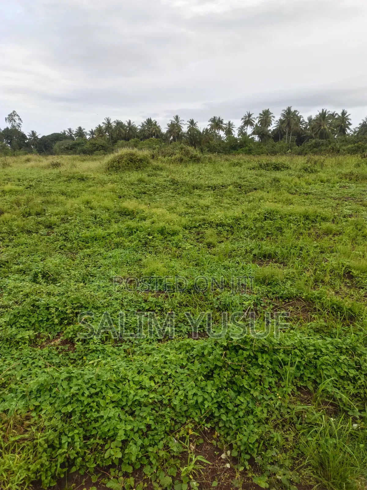 Land on Sale Kwale Count Mshiu 8acres 1,250,000 Per Acre in Pongwe/Kikoneni