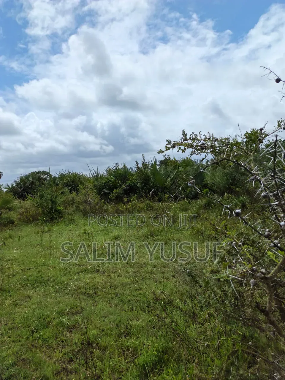 Land on Sale Kwale County Majoreni 17 Acres 350 Pr Acre in Pongwe/Kikoneni