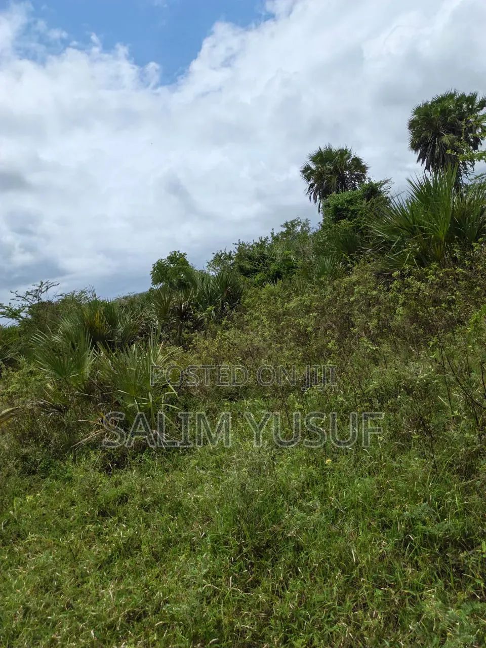 Land on Sale Kwale County Majoreni 17 Acres 350 Pr Acre in Pongwe/Kikoneni