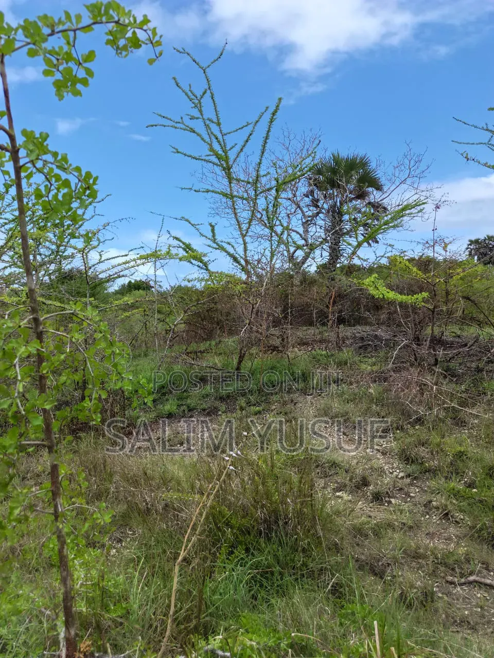Land on Sale Kwale County Majoreni 17 Acres 350 Pr Acre in Pongwe/Kikoneni