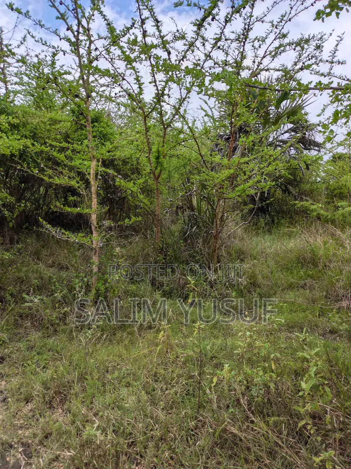 Land on Sale Kwale County Majoreni 17 Acres 350 Pr Acre in Pongwe/Kikoneni