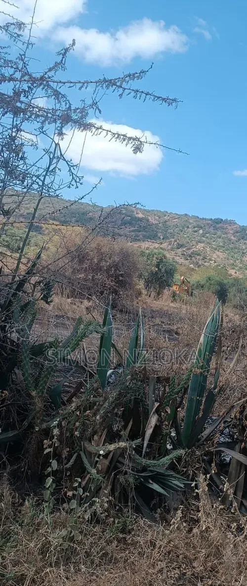27 Acres for Sale Mombasa Road in Nzoiani