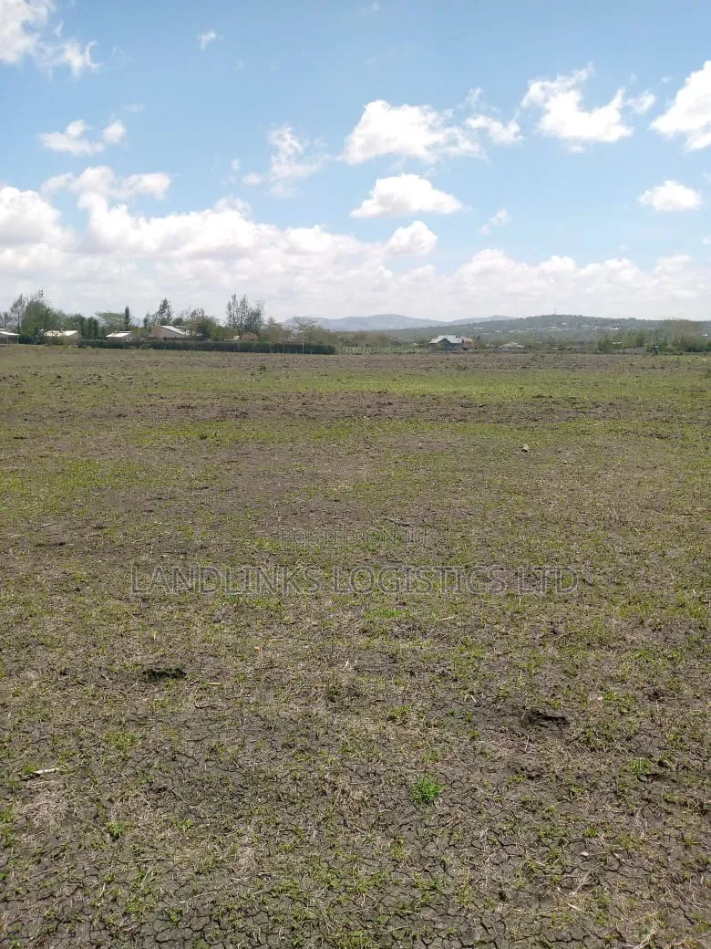 Konza at Aimi Ma Kilungu  Dc  Area Malili   10 Acres for Farm  Titled in Malili