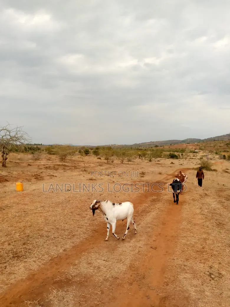 100 Acres Diffirently  Touching Mombasa Rd  at Maanzoni &After  Chumvi in Mombasa Road