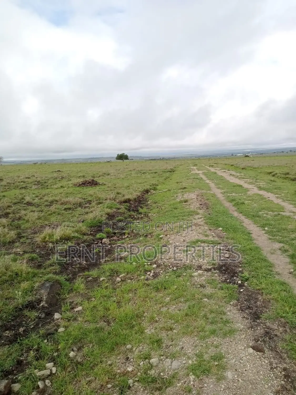 Prime Acreage for Sale | Birika, Kajiado 🔥 in Isinya